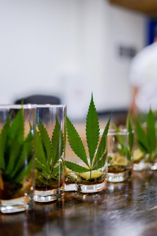 Cannatel Exclusive Hotel El Socorro Zewnętrze zdjęcie