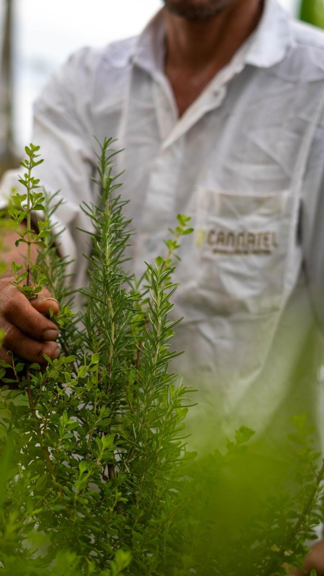 Cannatel Exclusive Hotel El Socorro Zewnętrze zdjęcie